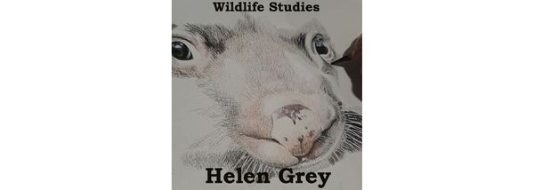 Combining Art and Science with Helen Grey
