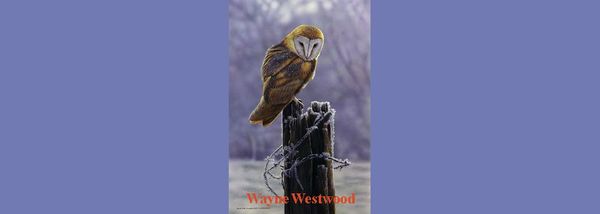 Birds by Harold Braul & Wayne Westwood and a Dash of Starlings